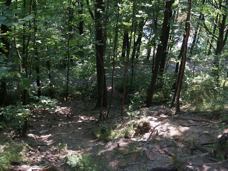 P7183721.JPG