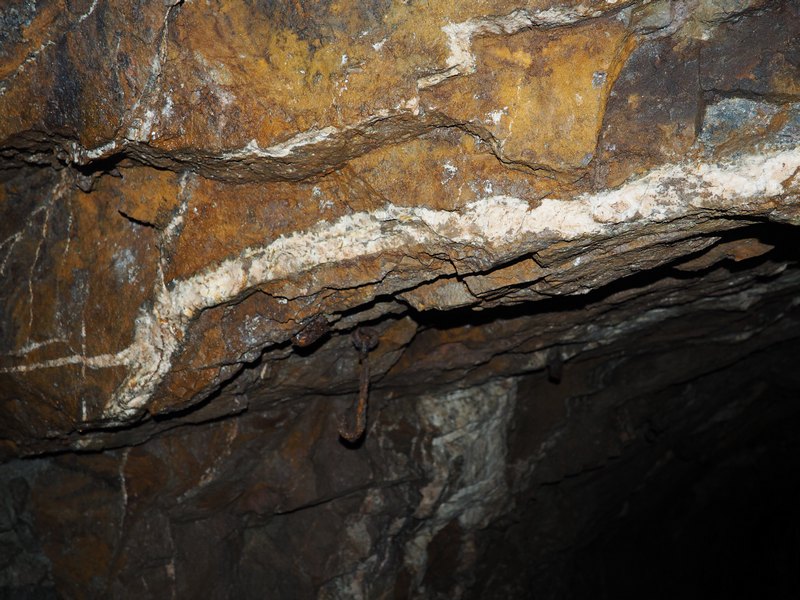 PA170113.JPG