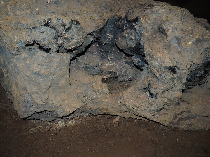 PA170133.JPG